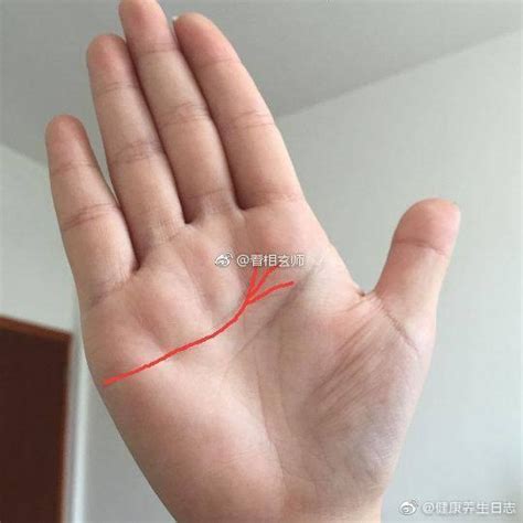 手掌上感情线断了代表什么？感情线浅代表什么？_手掌上感情线断了后面又有一小段,第3张